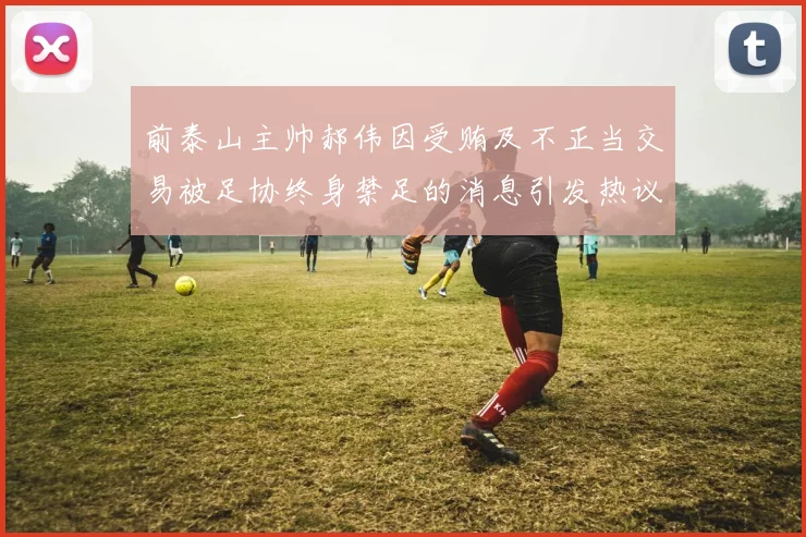 前泰山主帅郝伟因受贿及不正当交易被足协终身禁足的消息引发热议