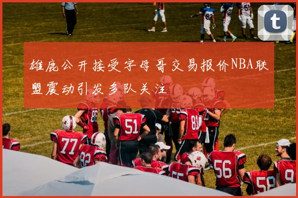雄鹿公开接受字母哥交易报价NBA联盟震动引发多队关注